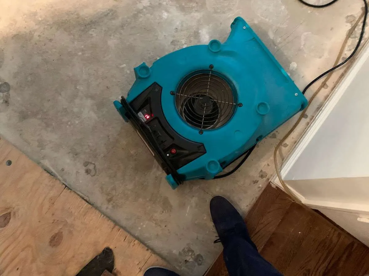 Air mover drying subfloor during Leak Detection & Repair in Little Egg Harbor